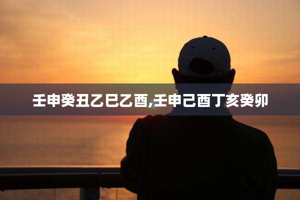 壬申癸丑乙巳乙酉,壬申己酉丁亥癸卯