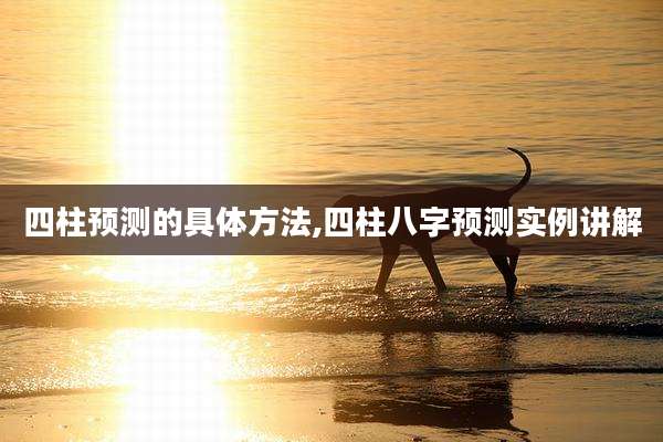 四柱预测的具体方法,四柱八字预测实例讲解