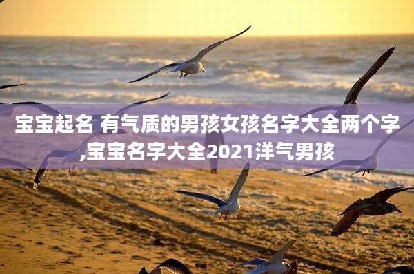 宝宝起名 有气质的男孩女孩名字大全两个字,宝宝名字大全2021洋气男孩