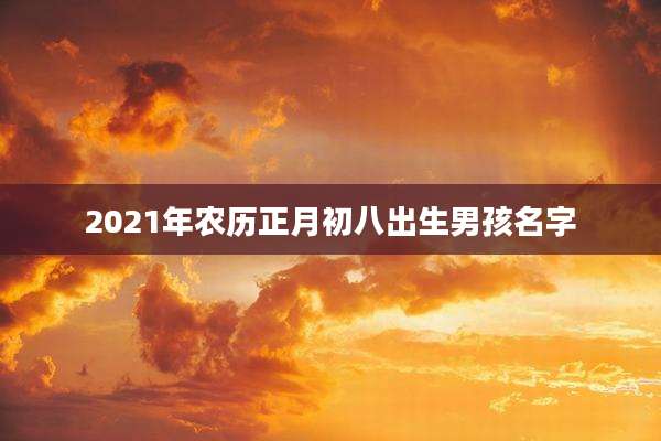 2021年农历正月初八出生男孩名字
