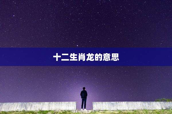 十二生肖龙的意思