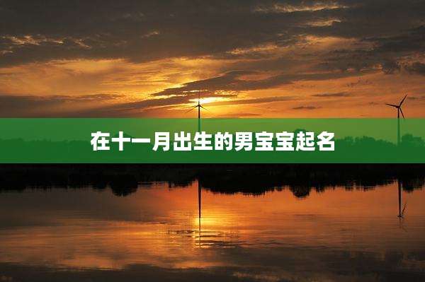 在十一月出生的男宝宝起名