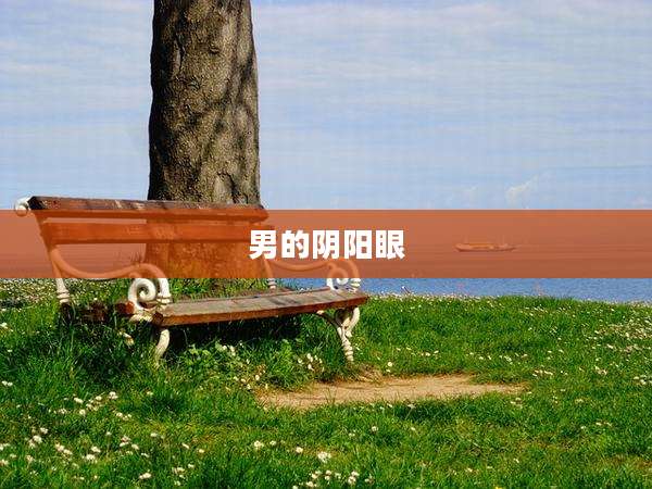 男的阴阳眼