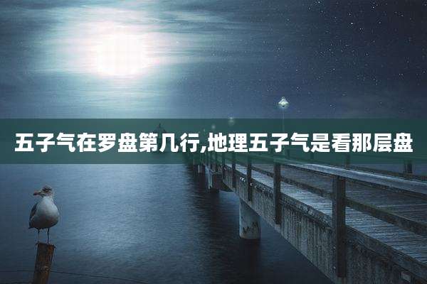 五子气在罗盘第几行,地理五子气是看那层盘
