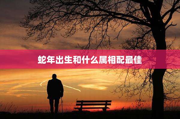 蛇年出生和什么属相配最佳