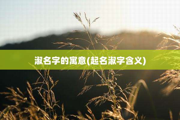 淑名字的寓意(起名淑字含义)