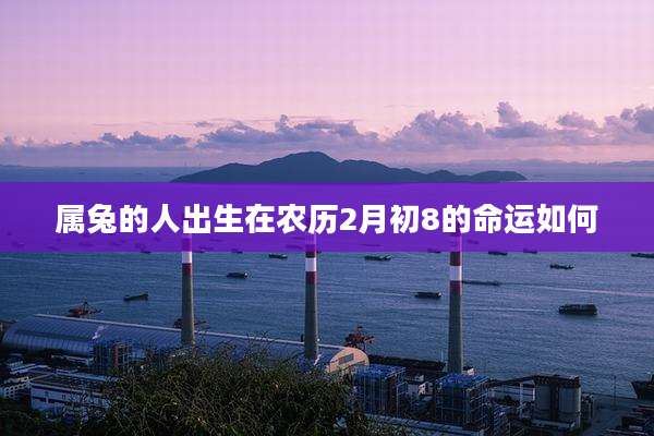 属兔的人出生在农历2月初8的命运如何