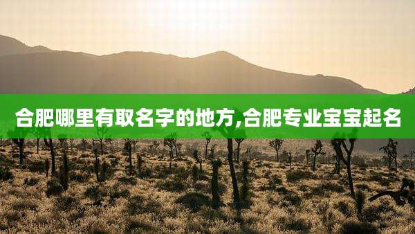 合肥哪里有取名字的地方,合肥专业宝宝起名
