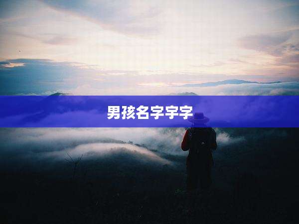 男孩名字宇字