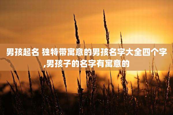 男孩起名 独特带寓意的男孩名字大全四个字,男孩子的名字有寓意的