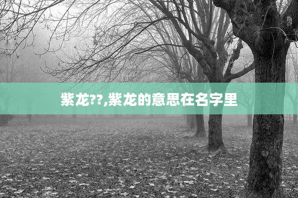 紫龙??,紫龙的意思在名字里