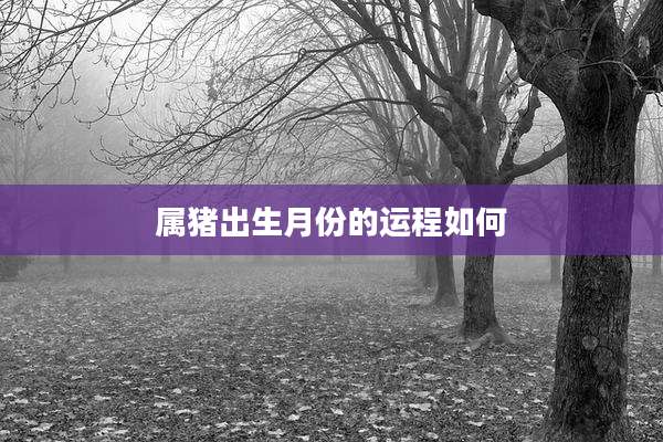 属猪出生月份的运程如何