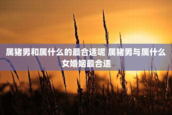 属猪男和属什么的最合适呢 属猪男与属什么女婚姻最合适