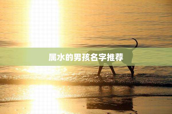 属水的男孩名字推荐
