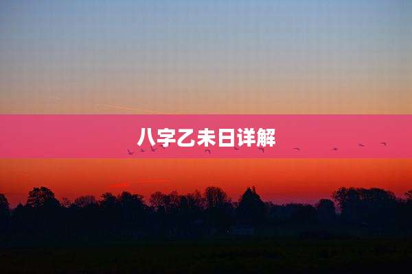 八字乙未日详解