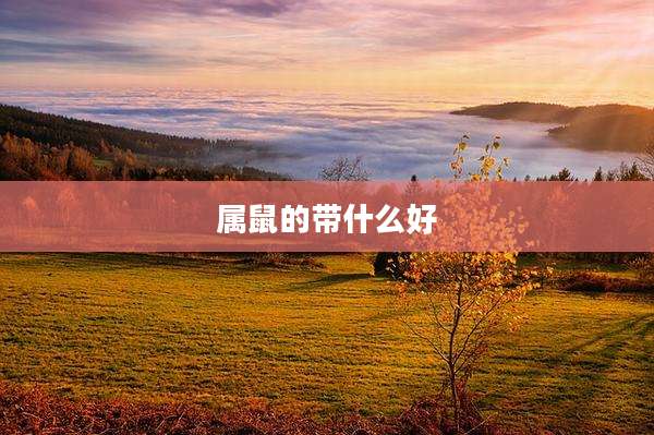 属鼠的带什么好