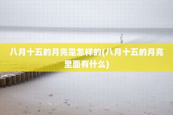 八月十五的月亮是怎样的(八月十五的月亮里面有什么)
