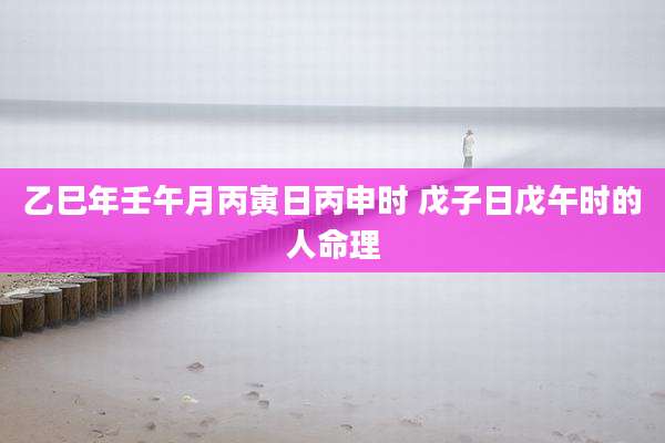 乙巳年壬午月丙寅日丙申时 戊子日戊午时的人命理