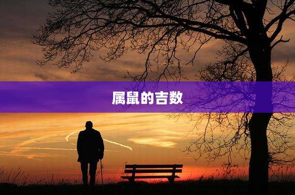 属鼠的吉数