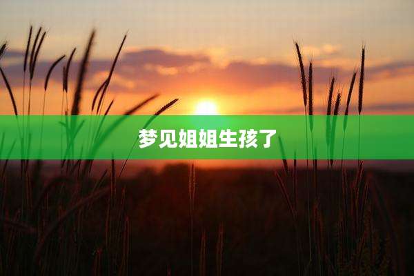梦见姐姐生孩了