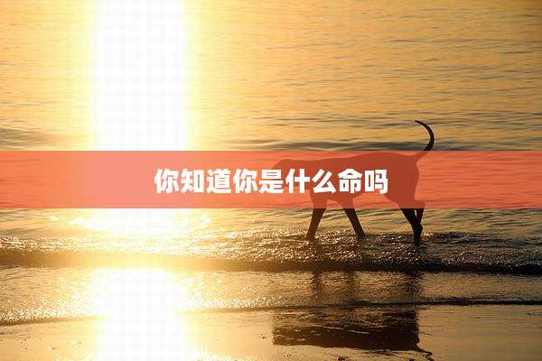 你知道你是什么命吗