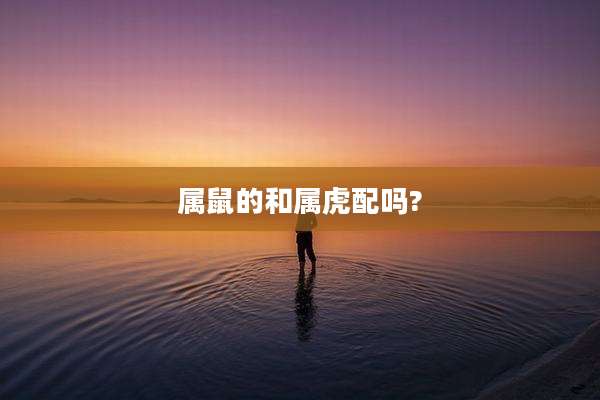 属鼠的和属虎配吗?