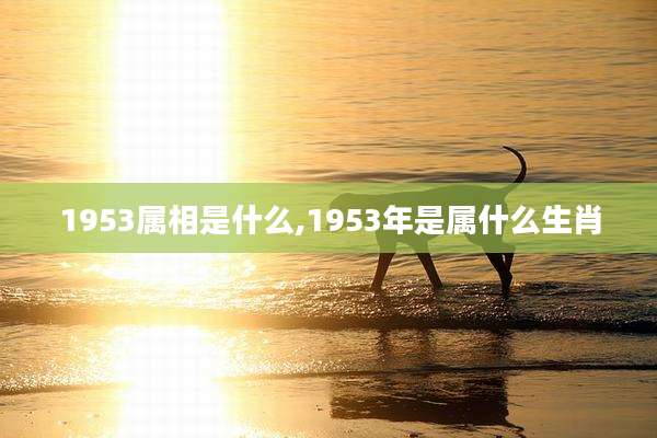 1953属相是什么,1953年是属什么生肖