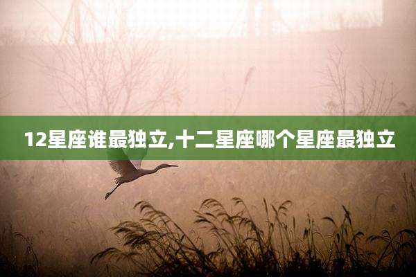 12星座谁最独立,十二星座哪个星座最独立
