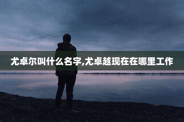 尤卓尔叫什么名字,尤卓越现在在哪里工作