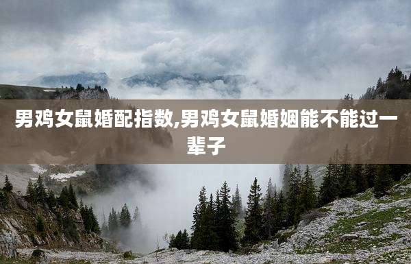 男鸡女鼠婚配指数,男鸡女鼠婚姻能不能过一辈子