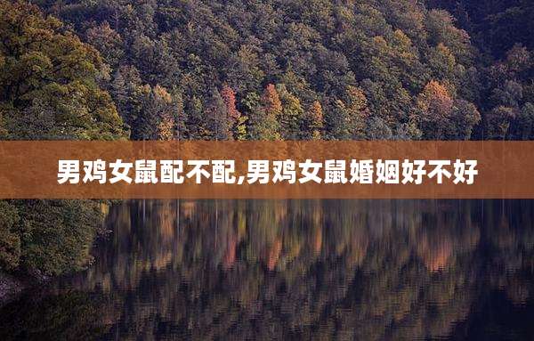 男鸡女鼠配不配,男鸡女鼠婚姻好不好