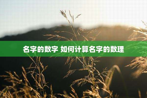 名字的数字 如何计算名字的数理