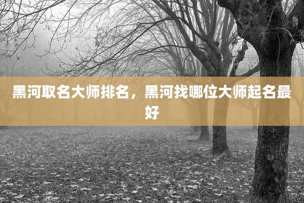 黑河取名大师排名，黑河找哪位大师起名最好