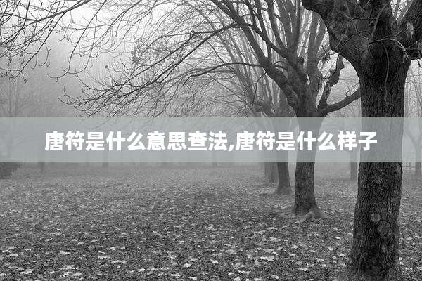 唐符是什么意思查法,唐符是什么样子