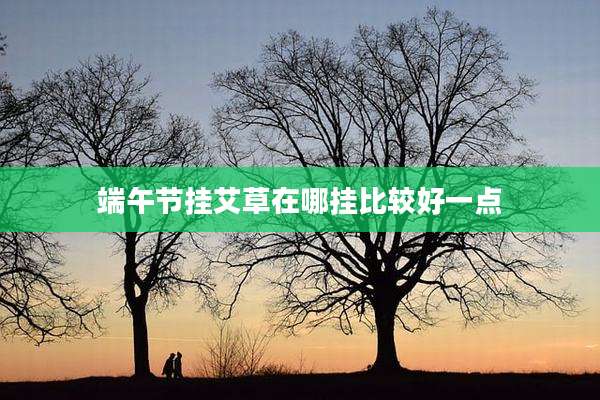 端午节挂艾草在哪挂比较好一点