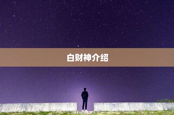 白财神介绍