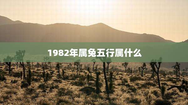 1982年属兔五行属什么