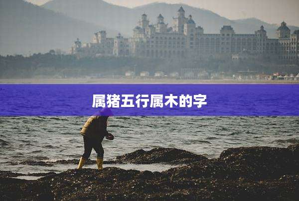 属猪五行属木的字