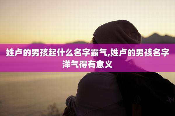 姓卢的男孩起什么名字霸气,姓卢的男孩名字洋气得有意义