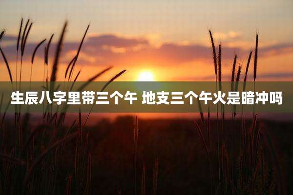 生辰八字里带三个午 地支三个午火是暗冲吗