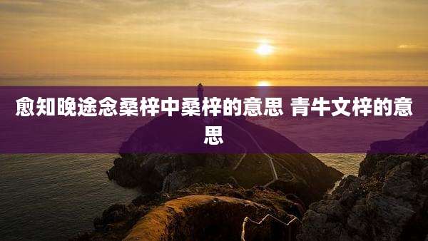 愈知晚途念桑梓中桑梓的意思 青牛文梓的意思
