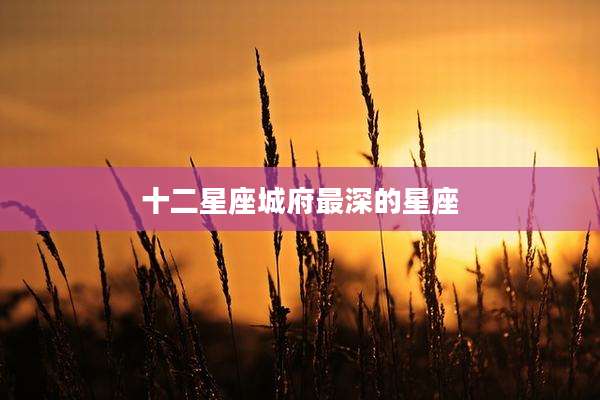 十二星座城府最深的星座