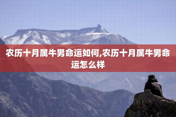 农历十月属牛男命运如何,农历十月属牛男命运怎么样