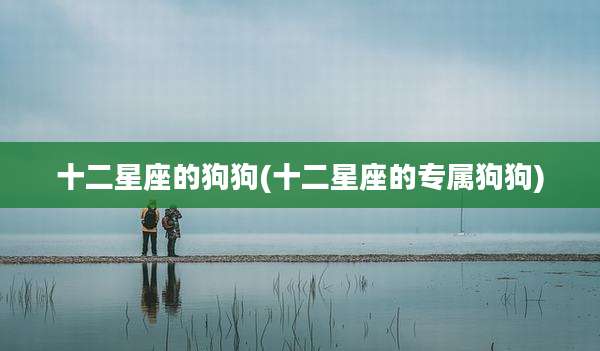 十二星座的狗狗(十二星座的专属狗狗)