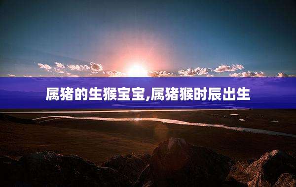 属猪的生猴宝宝,属猪猴时辰出生