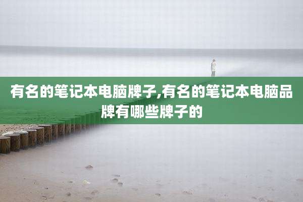 有名的笔记本电脑牌子,有名的笔记本电脑品牌有哪些牌子的