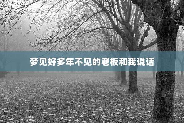 梦见好多年不见的老板和我说话