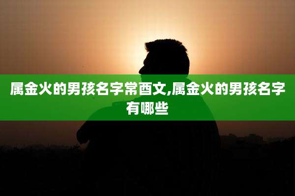 属金火的男孩名字常酉文,属金火的男孩名字有哪些