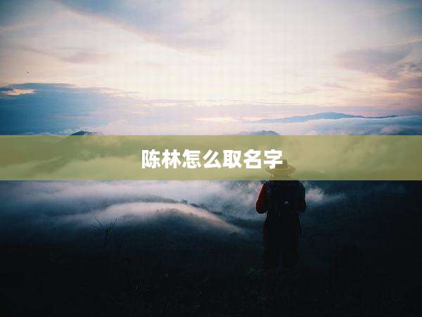 陈林怎么取名字