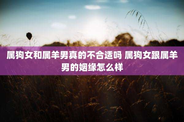 属狗女和属羊男真的不合适吗 属狗女跟属羊男的姻缘怎么样